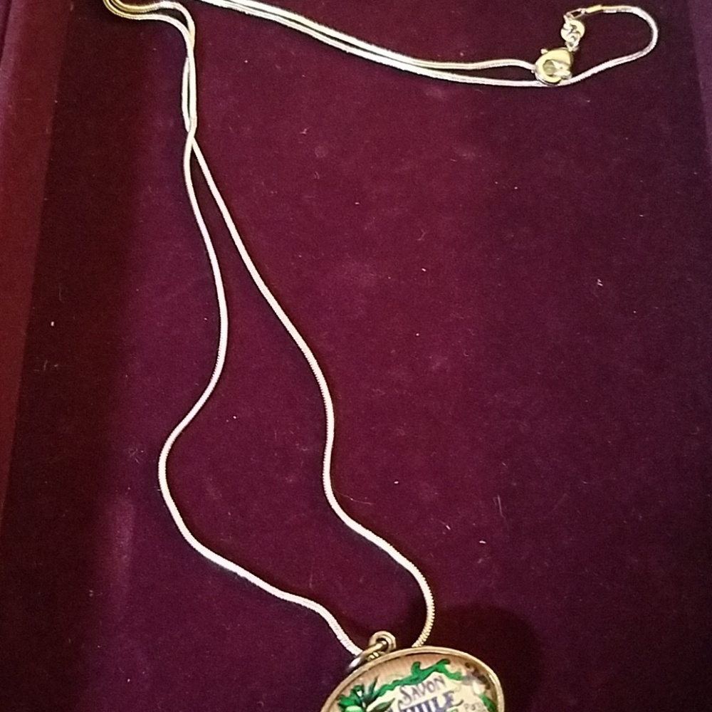 Savon Advertise 2-Sided Pendant with 24" Chain - Picture 3 of 4